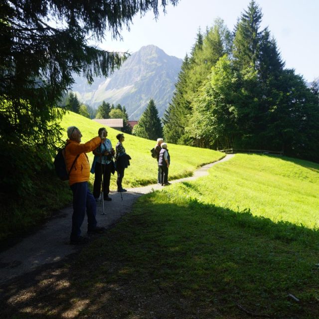 Wanderwege im Kleinwalsertal